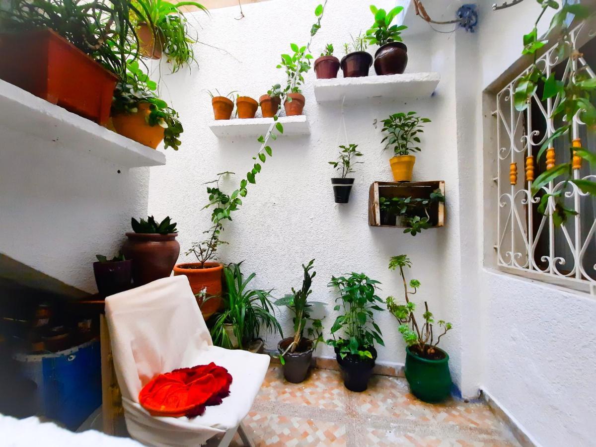 Dar Ayoub - Entire House Near Palais Marchan - Updated 2024 Tanger Extérieur photo
